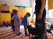 Bezpečný pes - kynologie